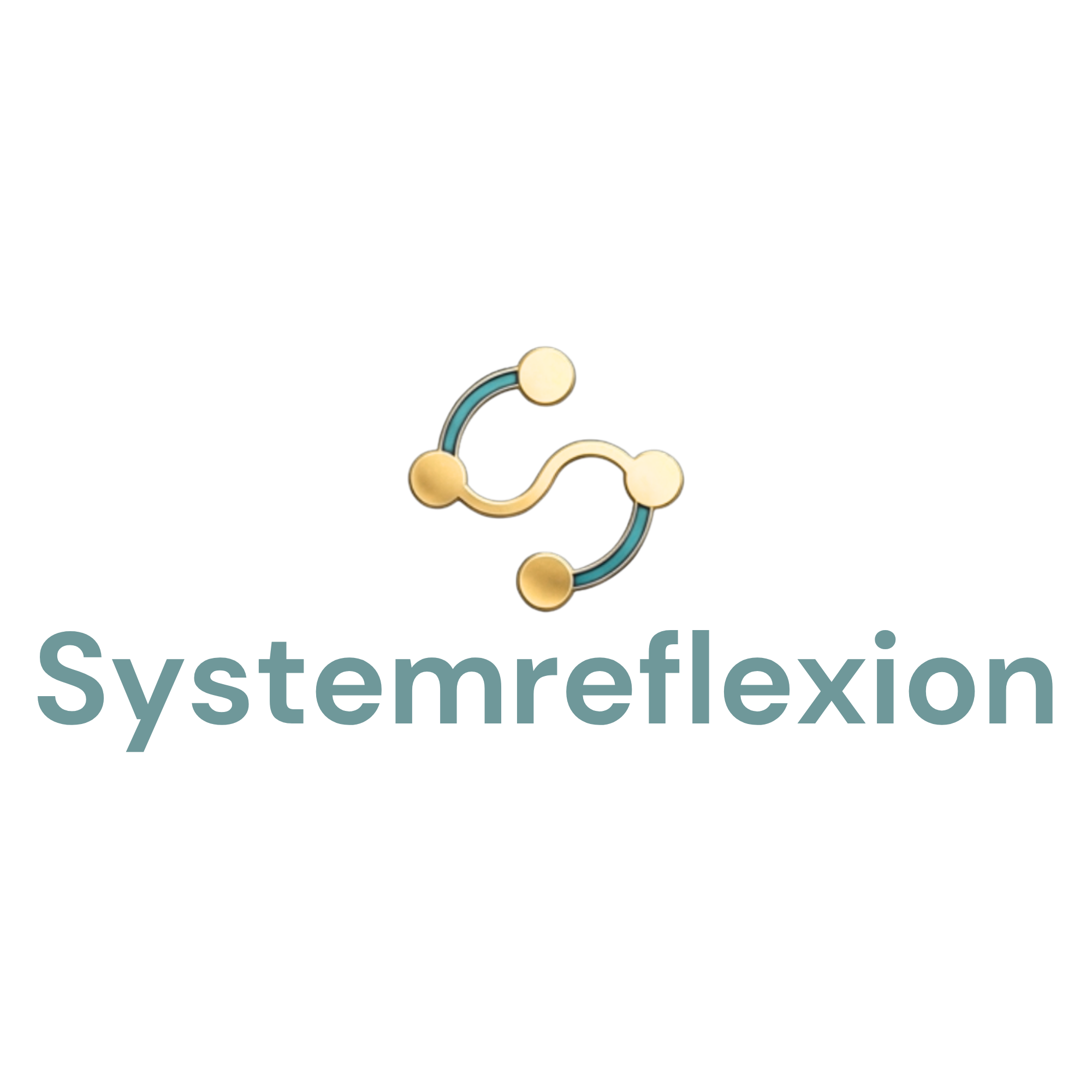 Systemreflexion Logo
